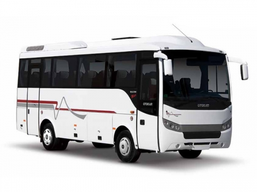 Sultan Maxi